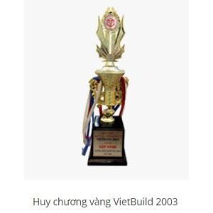 IV. Thành tựu đạt được